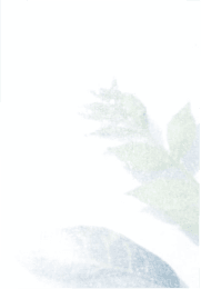 Leaf-Image